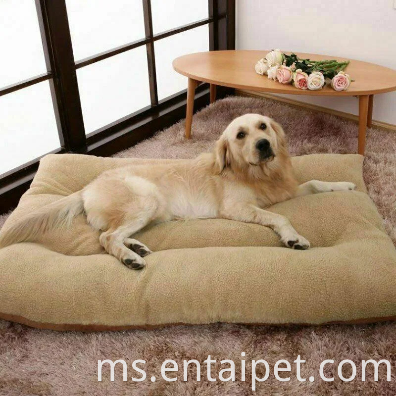 Katil Bed Mewah Tilam Anjing Kucing Bantal Tikar